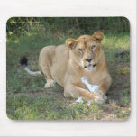 sarabi-toy-008 mouse pad
