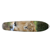 sarabi-toy-010 skateboards