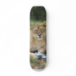 sarabi-toy-010 custom skate board