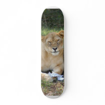 sarabi-toy-010 skateboards