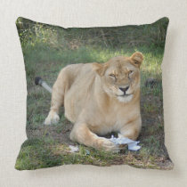 sarabi-toy-010 pillows