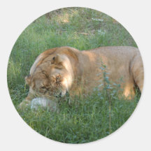 sarabi-toy-022 round sticker