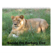 sarabi-toy-025, Sarabi the Barbary Lion calendars by BCRcats sarabi-toy-025, Sarabi the Barbary Lion calendars