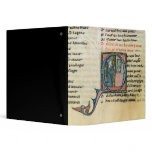 Saracen converted by an image of the Virgin Vinyl Binder
