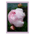 Sarah Bernhart Gift Tag B