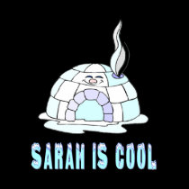 Sarah Is Cool Pro Mccain Political T Shirt