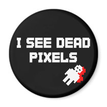 Sarah Marshall Dead Pixels magnets