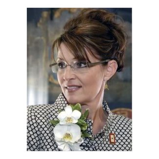Sarah Palin Corsage print