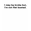 Sarah Palin Flat Busted T-shirt by McMILF Sarah Palin Flat Busted T-shirt