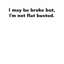 Sarah Palin Flat Busted T-shirt by McMILF Sarah Palin Flat Busted T-shirt