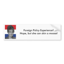 Sarah Palin, Foreign Policy Experience? bumper stickers by dmcgavin Sarah Palin, Foreign Policy Experience? bumper stickers