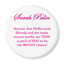 Sarah Palin - Hollywood Liberals & the MSM Magnets