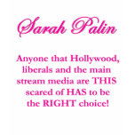 Sarah Palin - Hollywood Liberals & the MSM t-shirts