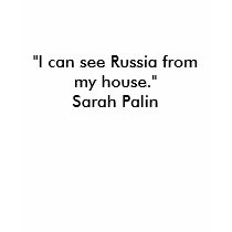 .Sarah Palin Quote t-shirts