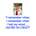 SARAH PALIN t-shirts by Politictees SARAH PALIN t-shirts