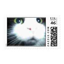 Sarah postage