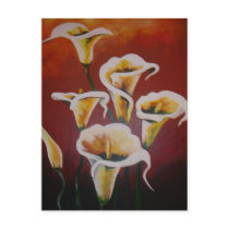 Sarah's Calla postcards