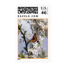 Sara's Butterfly postage