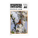 Sara's Butterfly postage