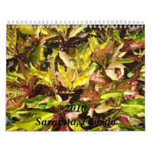 Sarasota, Florida 2010 Wall Calendar