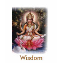 Saraswati t-shirts