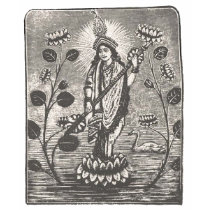 Saraswati t-shirts