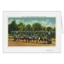 Saratoga Race Track Starting Line View Cards