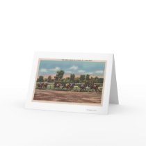 Saratoga Springs, NY - Horse Race Track Scene Card