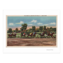 Saratoga Springs, NY - Horse Race Track Scene Postcard