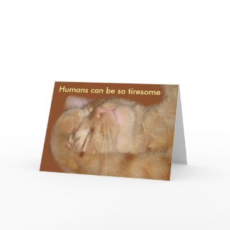 Sarcastic Cat All Occasion Card card