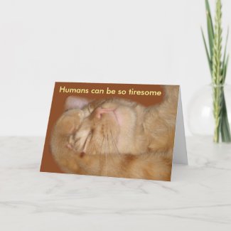 Sarcastic Cat Valentine's Day Card card