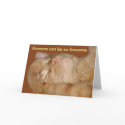 Sarcastic Cat Valentine's Day Card