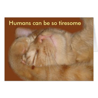 Sarcastic Cat Valentine's Day Card