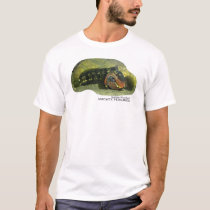 Sarcastic Fringehead t-shirts