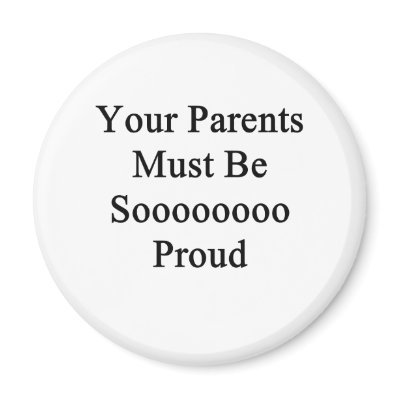 sarcastic insult  joke refrigerator magnets by jimhartley