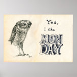 Sarcastic Owl - Monday Poster