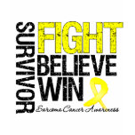 Sarcoma Survivor Fight Believe Win Motto Shirts