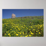 Sardinia Fort and Medeow Print