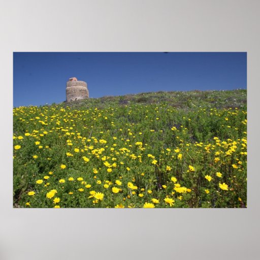 Sardinia Fort and Medeow Print