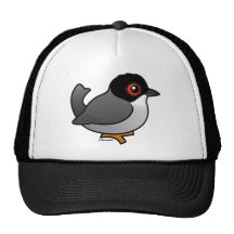 Sardinian Warbler Mesh Hat