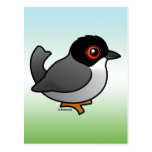 Sardinian Warbler Postcard