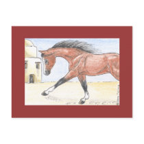 "Saree bint Sehkit" postcards by smilodonart "Saree bint Sehkit" postcards
