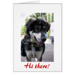 Sarge, Hi there! Cards