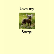 Sarge t-shirts