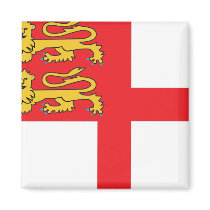 Sark magnets