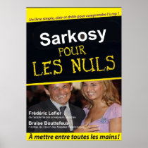 sarkosy pour les nuls posters