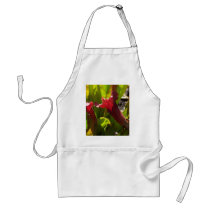 Sarracenia aprons by Lisachromis Sarracenia aprons