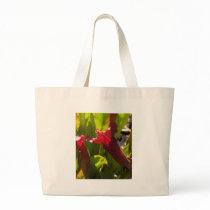Sarracenia bag
