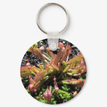 Sarracenia psittacina keychain by Lisachromis Sarracenia psittacina keychain