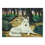 "Sasha" cards
